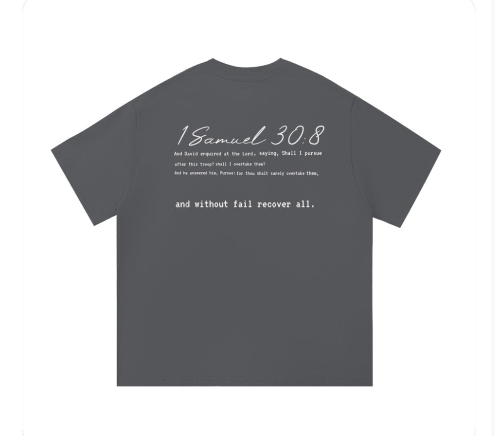 Short sleeve One Kingdom 1 Smauel 30:8 shirt